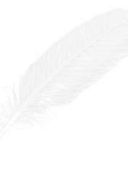 [해리포터/번역] There's Something About Potter