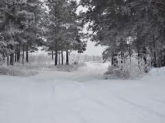 그 어느 날의 편지.