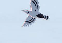 [익준송화] 비밀의 작은 대가