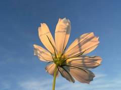 몰라도 괜찮아. 언젠가 이해하겠지.