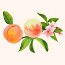 ᴡᴇᴅᴅɪɴɢ ᴘᴇᴀᴄʜ