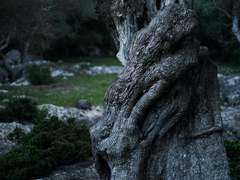 [드레해리] 일그러진 이름 03.