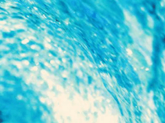 [ 안 포운 / 3학년 ]