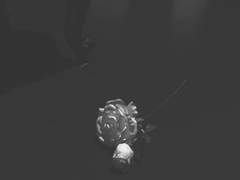 and, My Enemies and Comrades