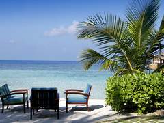 오피스 파라다이스 15