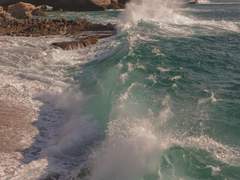 이타도리와 넥타이