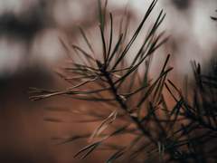 6. 폭력은 정당화될 수 있는가?