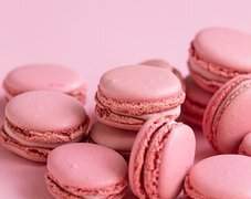 진지커 1학년 프로필