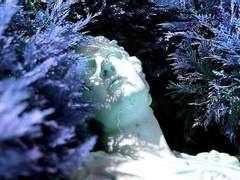 [솔원/츄원] 푸른 선혈은 어디로 흘러가는가