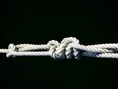 [고죠게토] ━사랑하게 될 거야_2