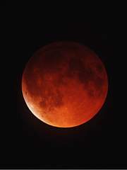 붉은 달이 떴습니다