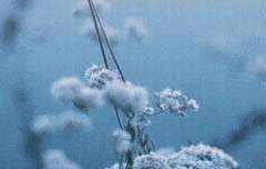 If :: 사네가 주인공이었다면?