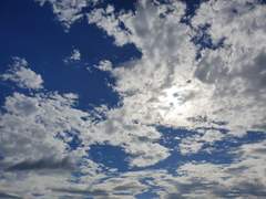 [트위터]장르별 트윗 링크 모음/22.07.30 업데이트