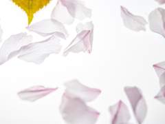 기억에 고이는 것보단 낫겠지요.