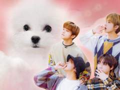 • 현재 연재 예정인 작품들 모음 •