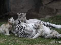 등장인물 프로필