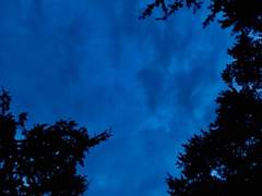 클블-블레이크 죽음편