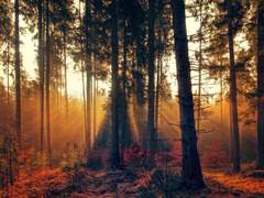 反水不收(반수불수)-07