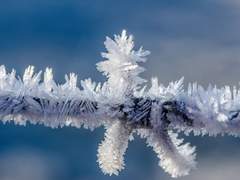 네가 어찌 그런 것을 원하겠니.