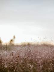 그치지 않을 파도