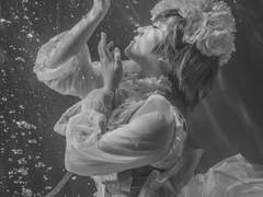 흑집사 - 시엘 팬텀하이브