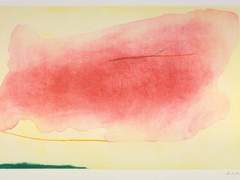 붉은 아노락 후드티