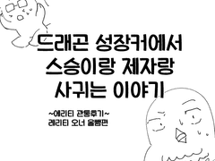 에리티 관통후기