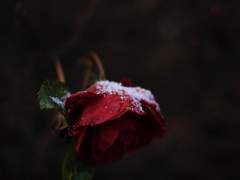 발신인 불명 (1)