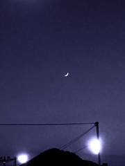 달동네 연쇄 살인 사건