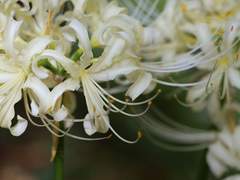 I'm not confused anymore.