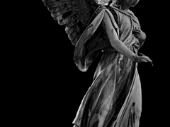 망할놈의 의심탓에!