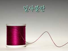 일사불란(一絲不亂)