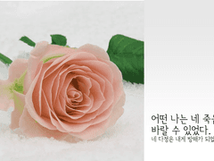 무사를 바랐는가 하면