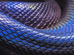 Dear, Esteban Kimberley Forrest