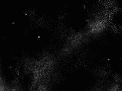 그가 죽음의 끝에서 본 것