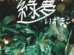 녹몽綠夢[이즈마코]