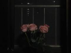 마필구와 레이나 벨리메르