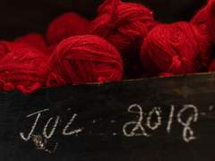 월하의 붉은토끼풀