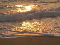 황금 바다를 너에게