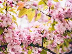 그 날 내가 봤던 桃源鄕이야.