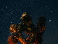 [제천독자] 내 여름은 오롯이 네 것이었어