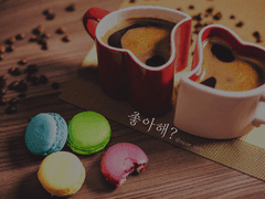 [이즈마코]좋아해?