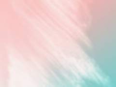 🍭아델라이데 공개 프로필