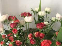 붉은 입술에 이울린 꽃잎