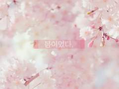 봄은 참 따뜻한 계절이네요.