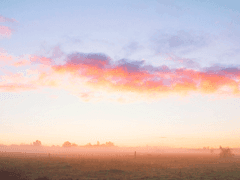 결말은 동화처럼