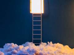 진수영 / 인간 / 남