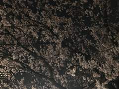 그리고 다른 세상이 있다