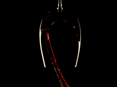 내 여자 친구는 뱀파이어 헌터