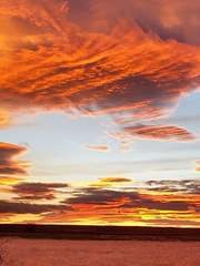 캠핑트럭_우리는 계속 살것이다